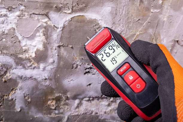 Best Affordable Mold Removal  in Forestde, AL