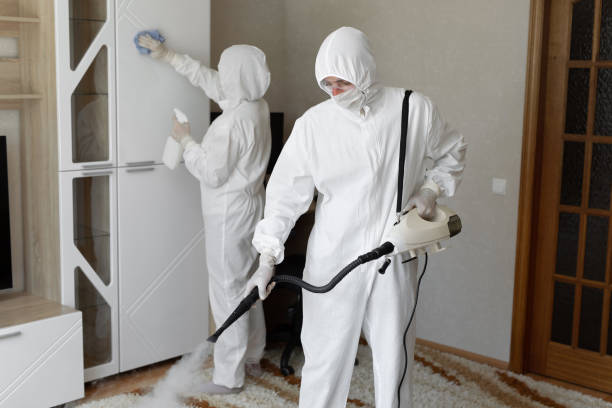 Best Mold Testing  in Forestde, AL