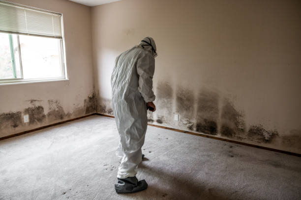 Best Mold Remediation  in Forestde, AL