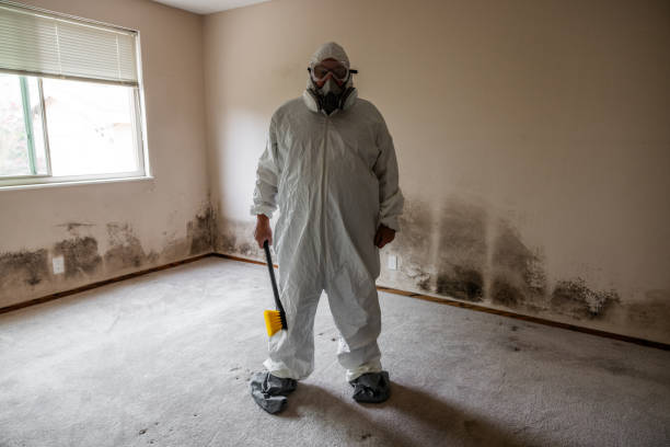 Best Residential Mold Removal  in Forestde, AL